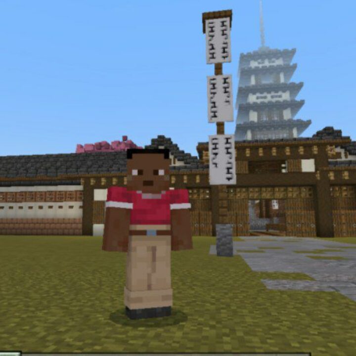 Samurai Village Map for Minecraft PE