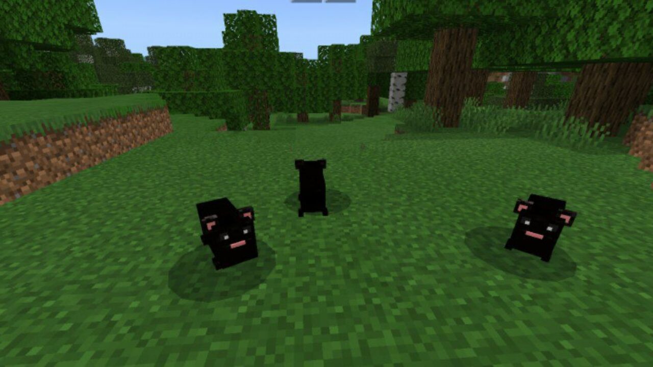 Black from Hamster Mod for Minecraft PE