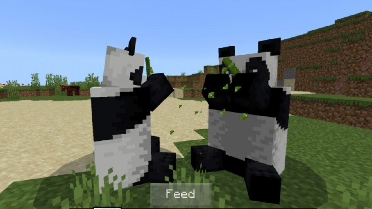 Feed from Panda Mod for Minecraft PE