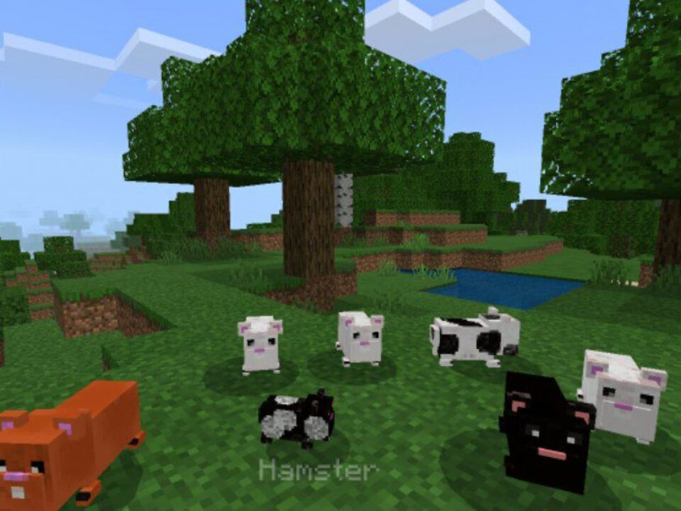 Hamster Mod for Minecraft PE
