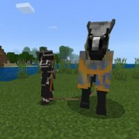 Knights Mod for Minecraft PE