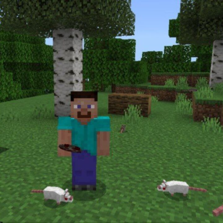 Mouse Mod for Minecraft PE