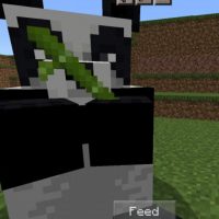 Panda Mod for Minecraft PE