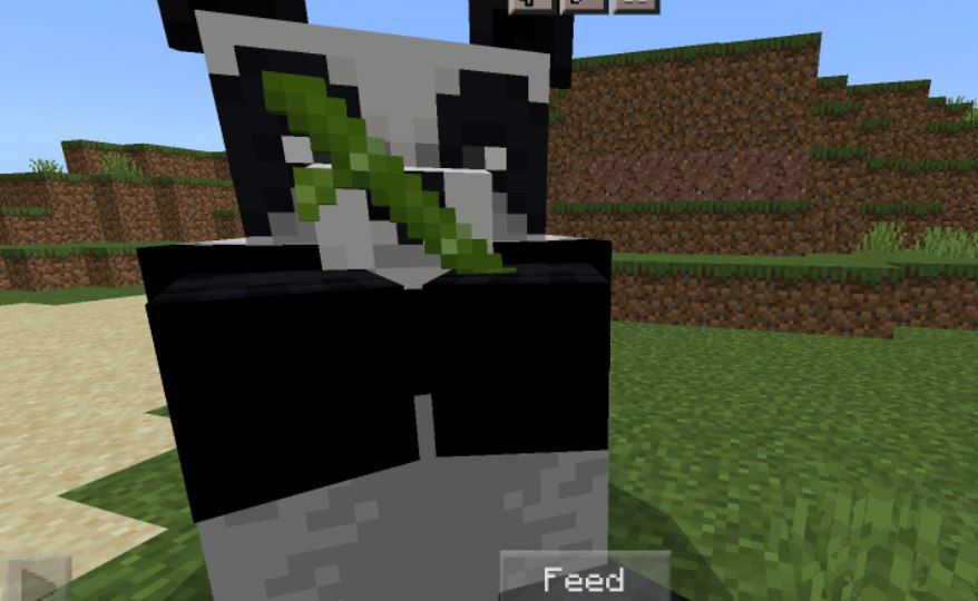 download-panda-mod-for-minecraft-pe-panda-mod-for-minecraft-bedrock