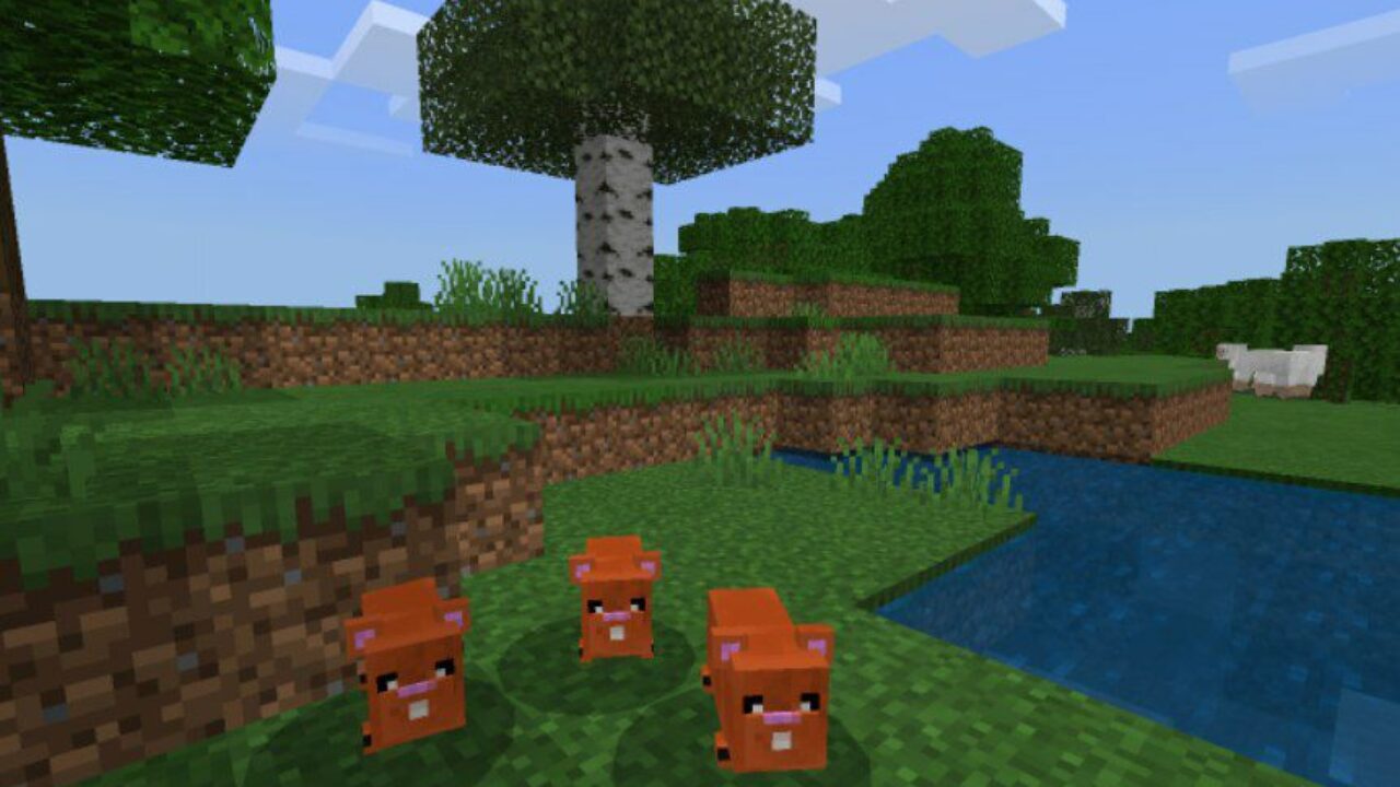 Red from Hamster Mod for Minecraft PE