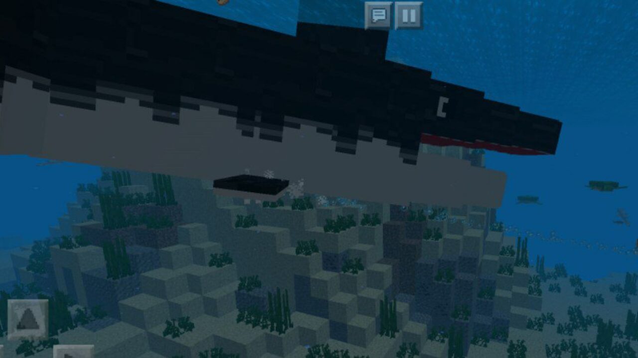 Shark from Sea Mod for Minecraft PE