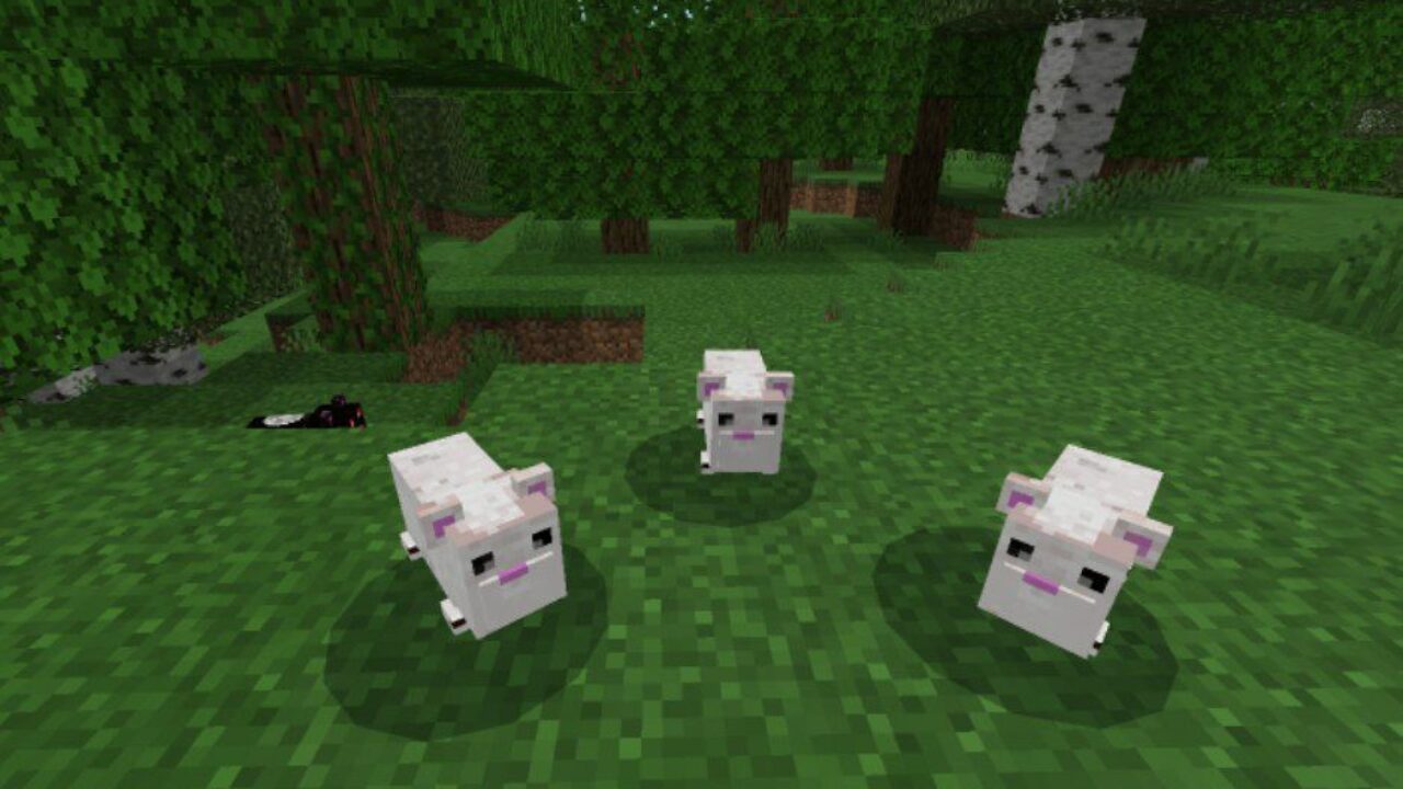 White from Hamster Mod for Minecraft PE