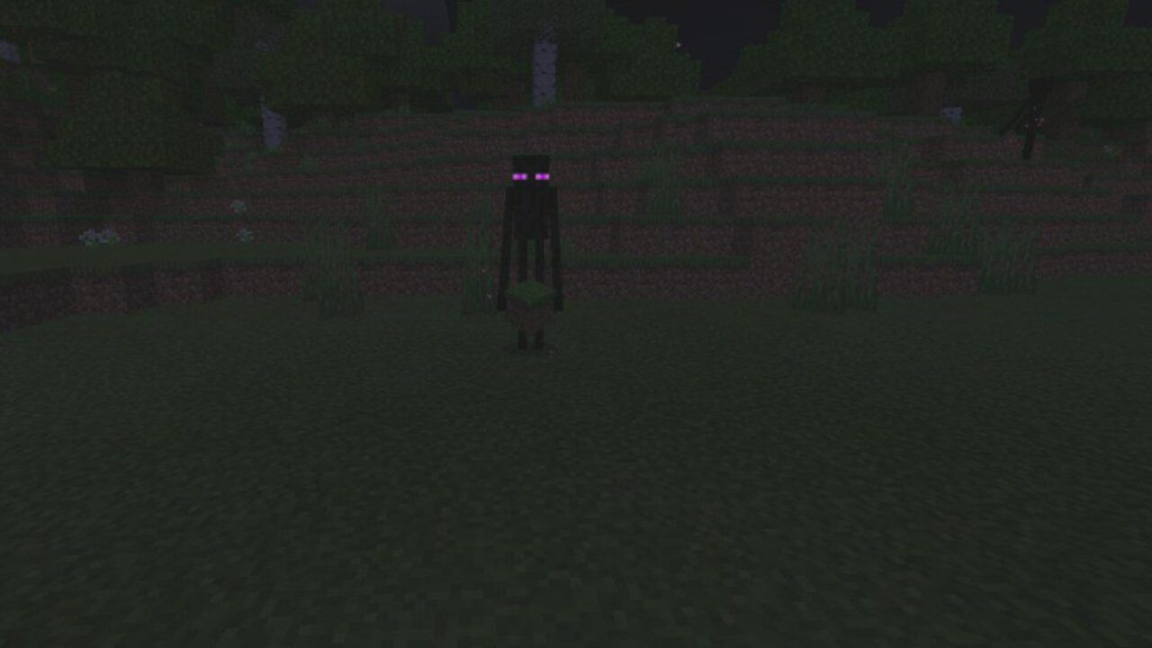 Enderman from Night Vision Shader for Minecraft PE