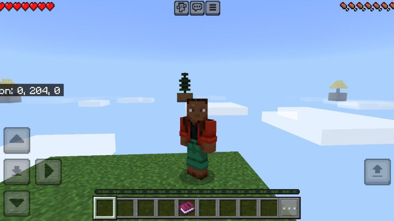 Lucky from Skyblock Map for Minecraft PE