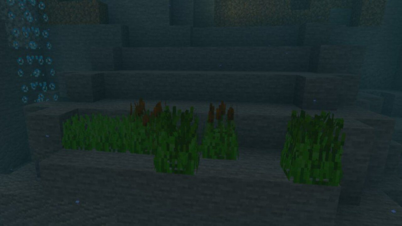 Water Grass from River Plus Texture Pack for Minecraft PE