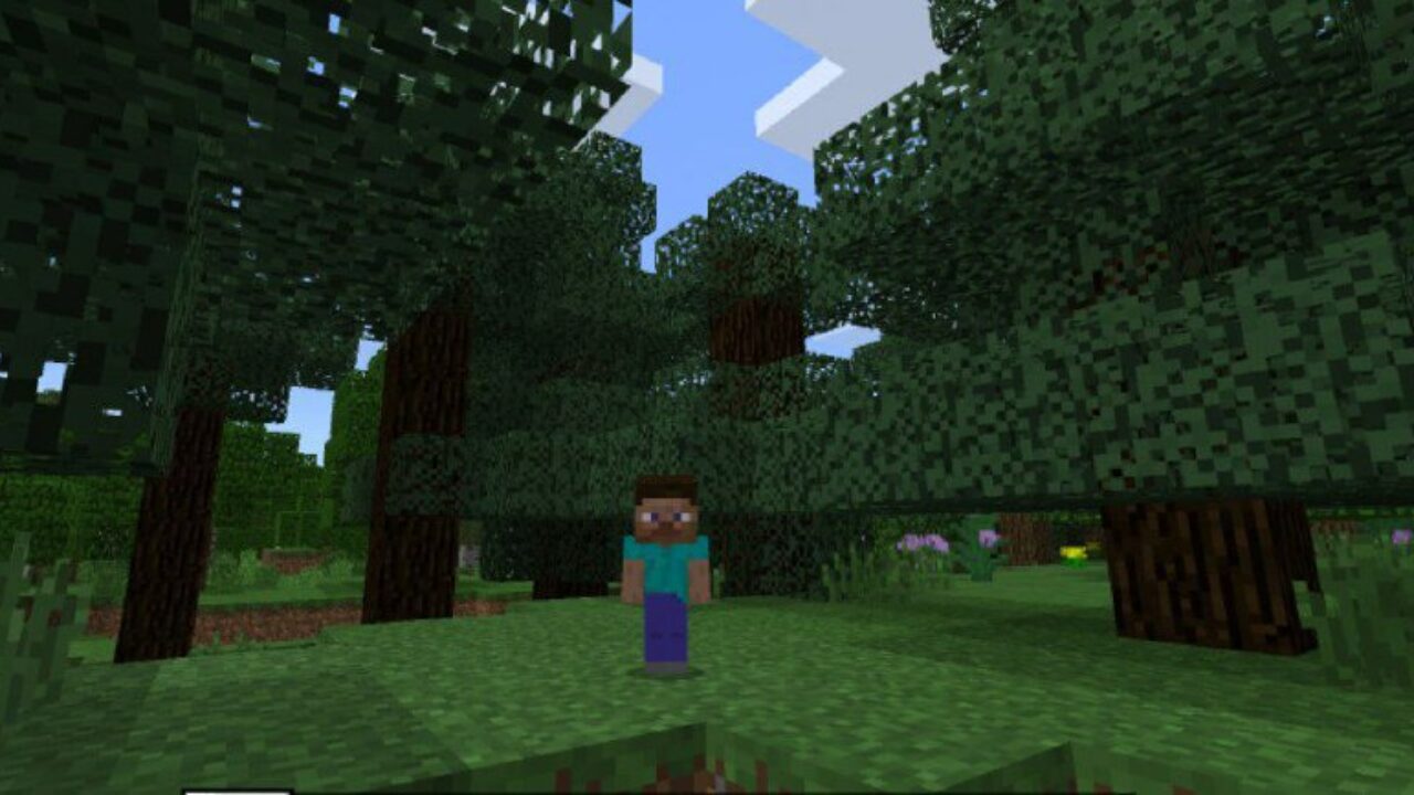 Baby from Schoolboy Mod for Minecraft PE