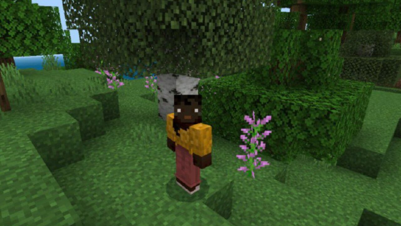 Colours from Flowers Texture Pack for Minecraft PE