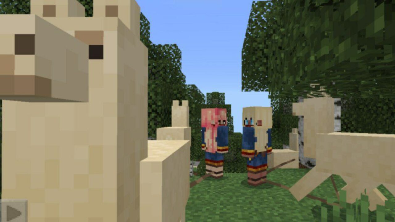 Female from Lively Villagers Mod for Minecraft PE