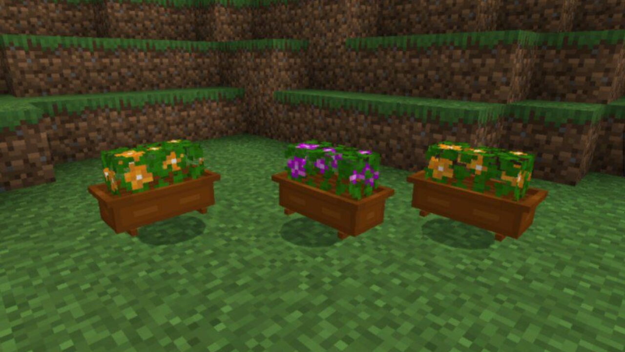 Flowers from Household Furniture Mod for Minecraft PE