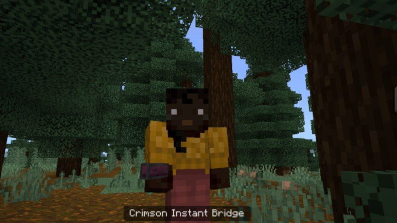 Item from Instant Bridge Mod for Minecraft PE