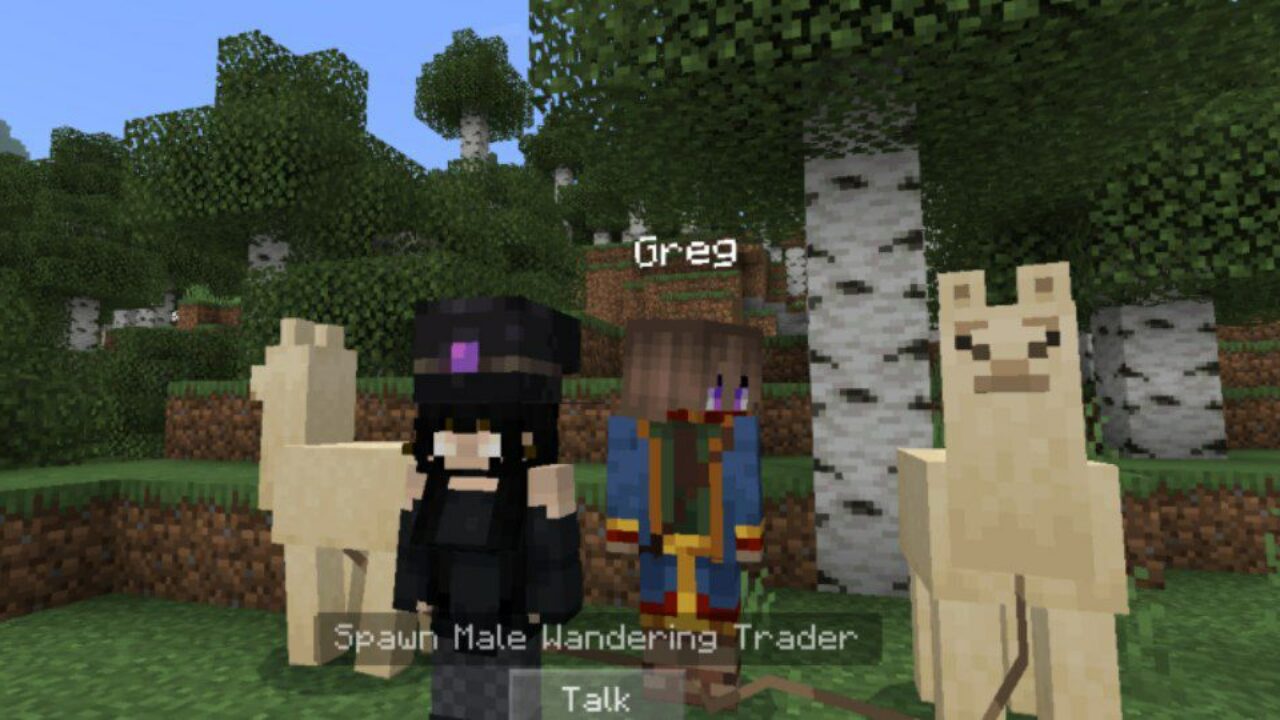 Male from Lively Villagers Mod for Minecraft PE