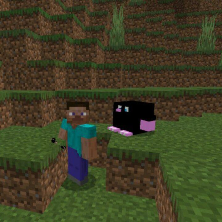 Mole Mod for Minecraft PE