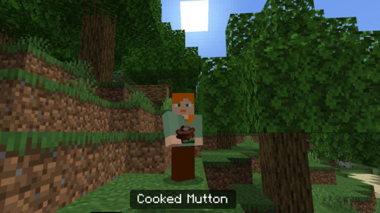 Mutton from Food Texture Pack for Minecraf PE