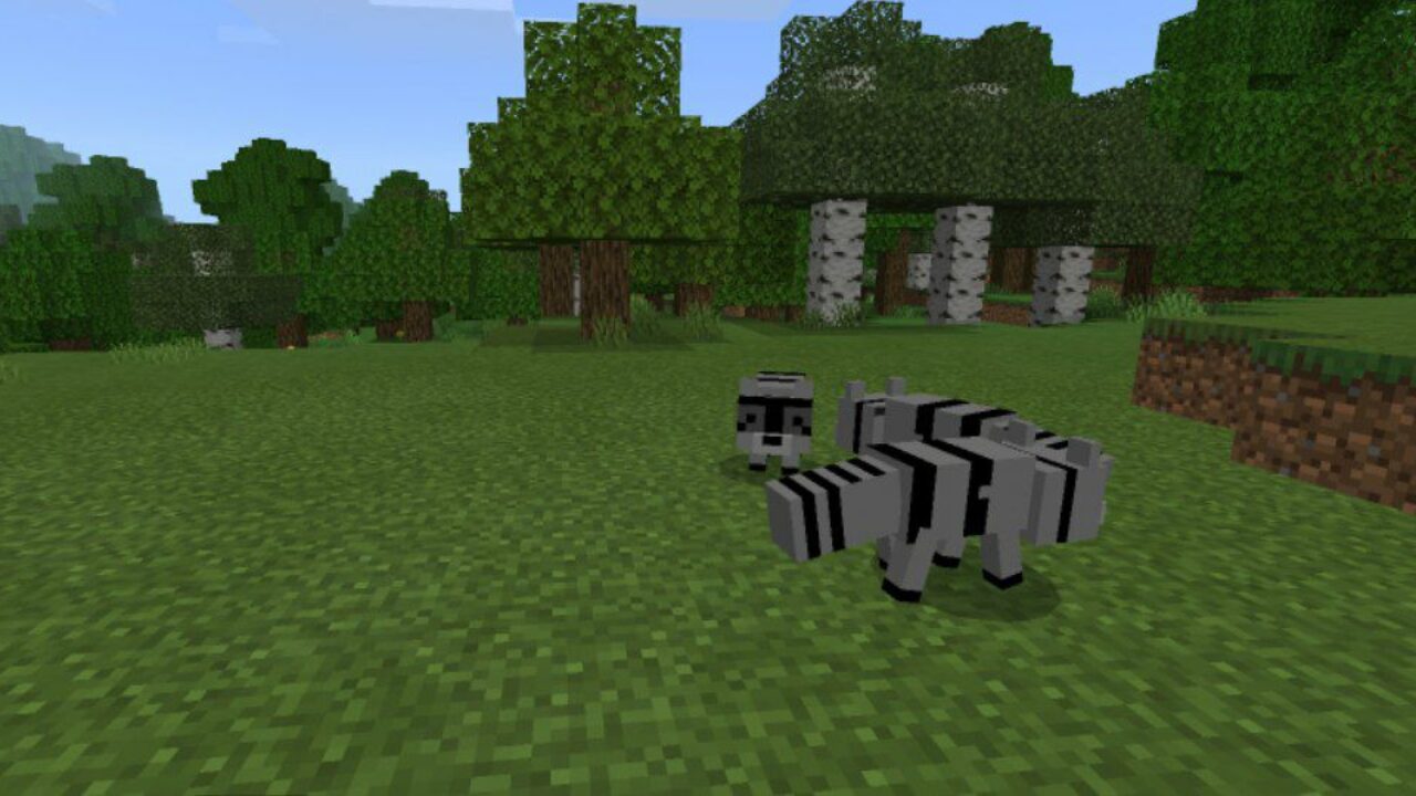 New Animals from Raccoon Mod for Minecraft PE