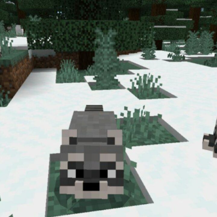 Raccoon Mod for Minecraft PE