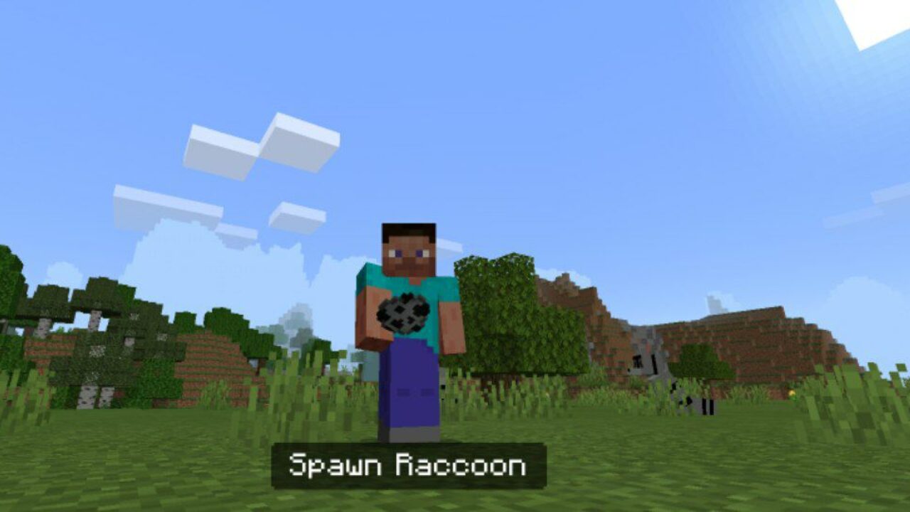 Use It from Raccoon Mod for Minecraft PE