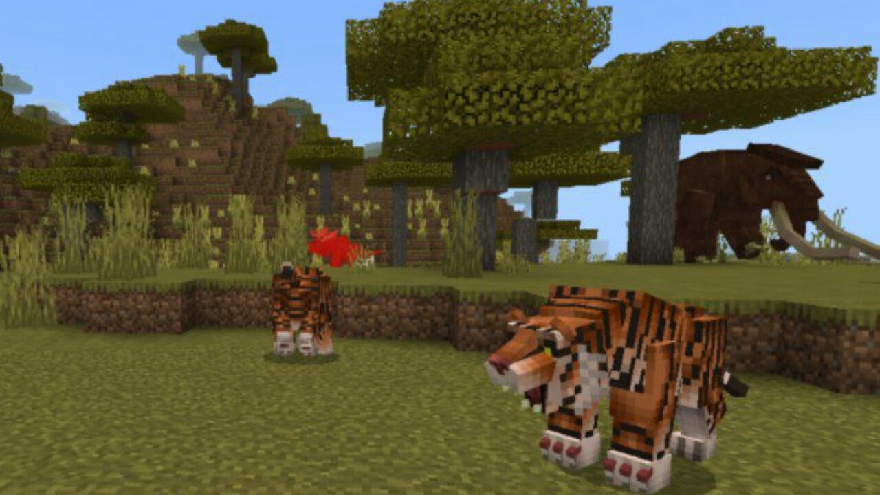 Bengal Tiger from MB Creatures Mod for Minecraft PE