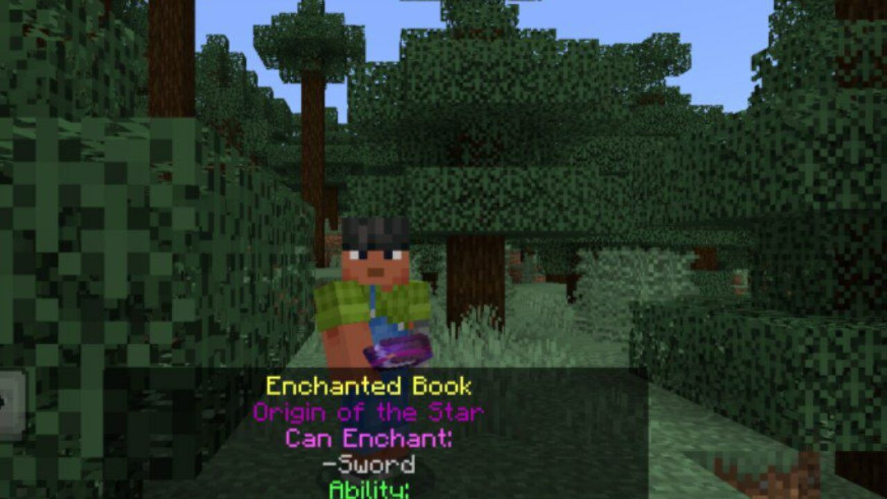 Book from Improved Enchantments Mod for Minecraft PE