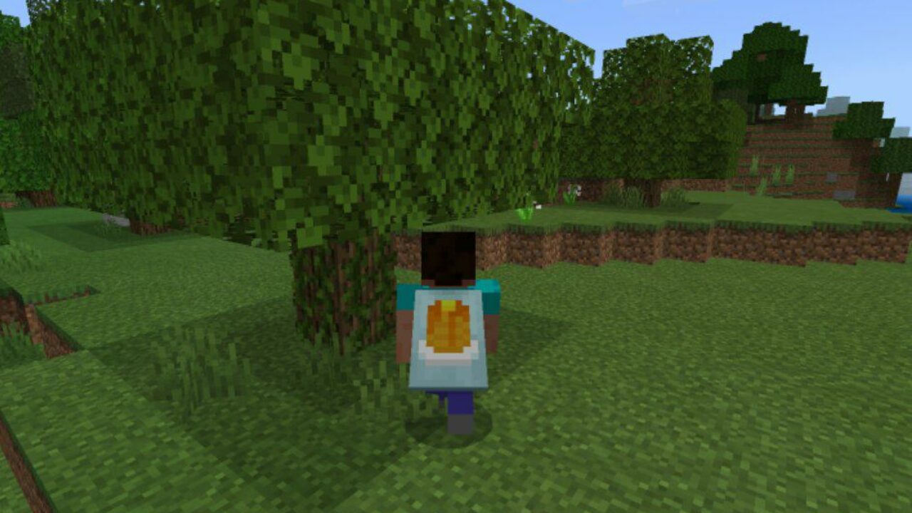 Cape from Place the Item Mod for Minecraft PE