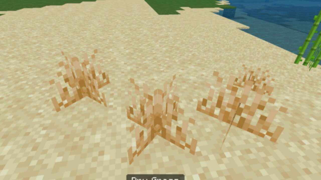 Dead Grass from Sand Mod for Minecraft PE