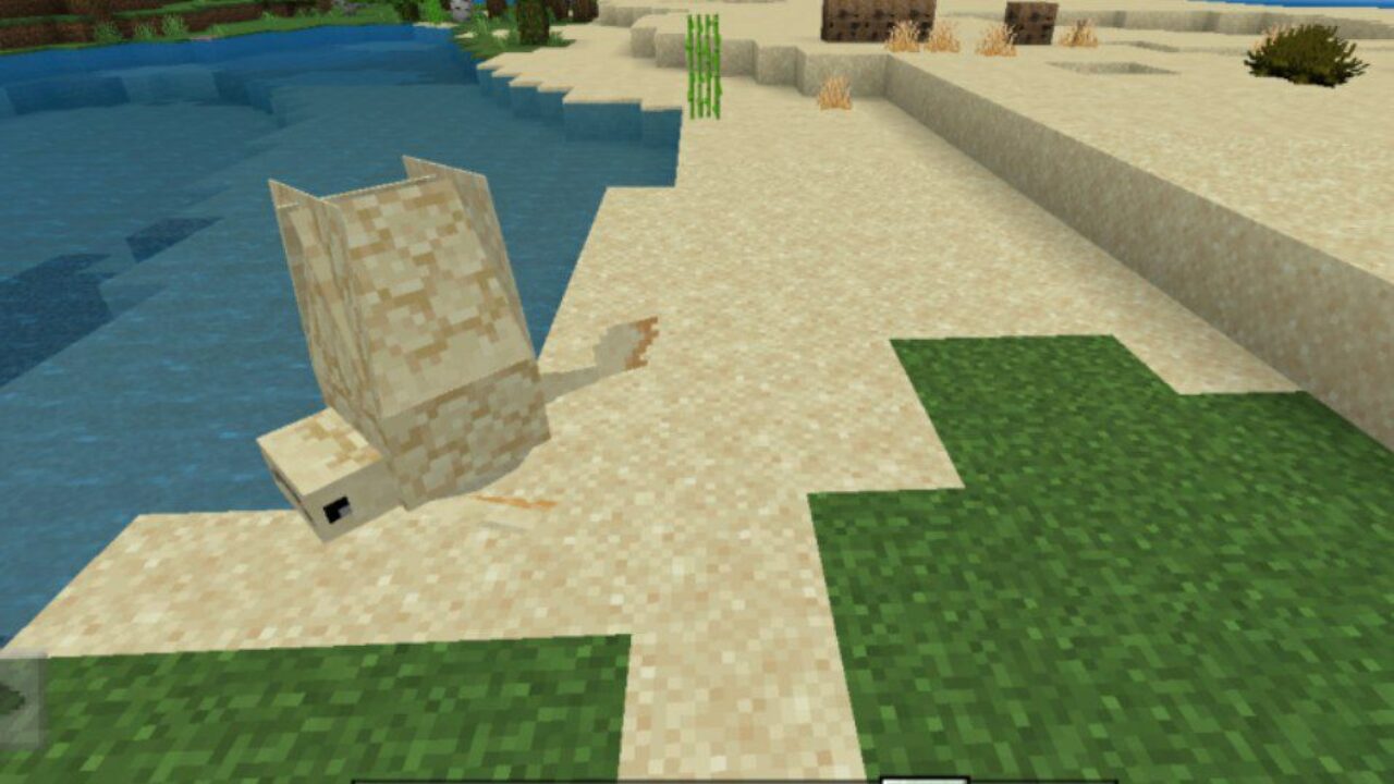 Desert Shark from Sand Mod for Minecraft PE