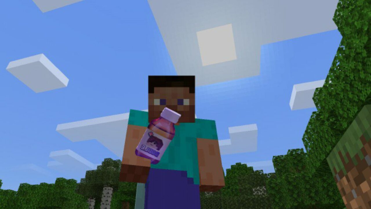 Drink from Homeless Man Texture Pack for Minecraft PE