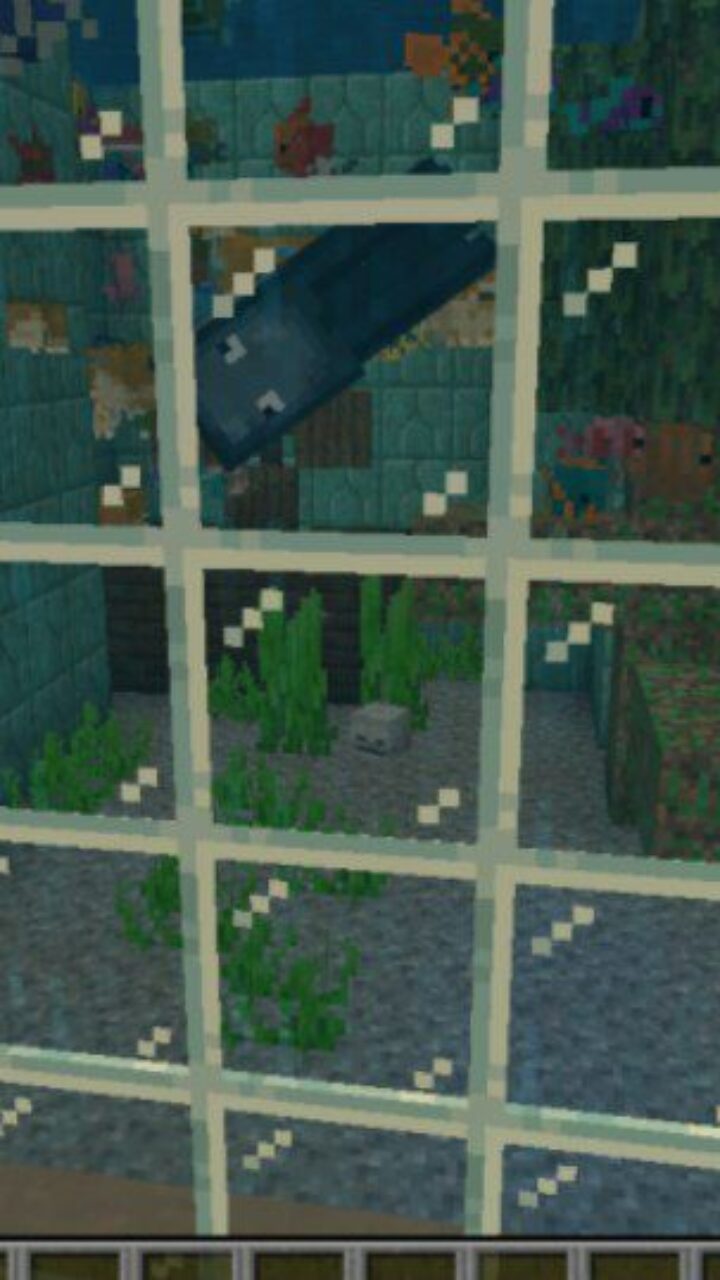 Fishes from SeaLand Aquarium Map for Minecraft PE