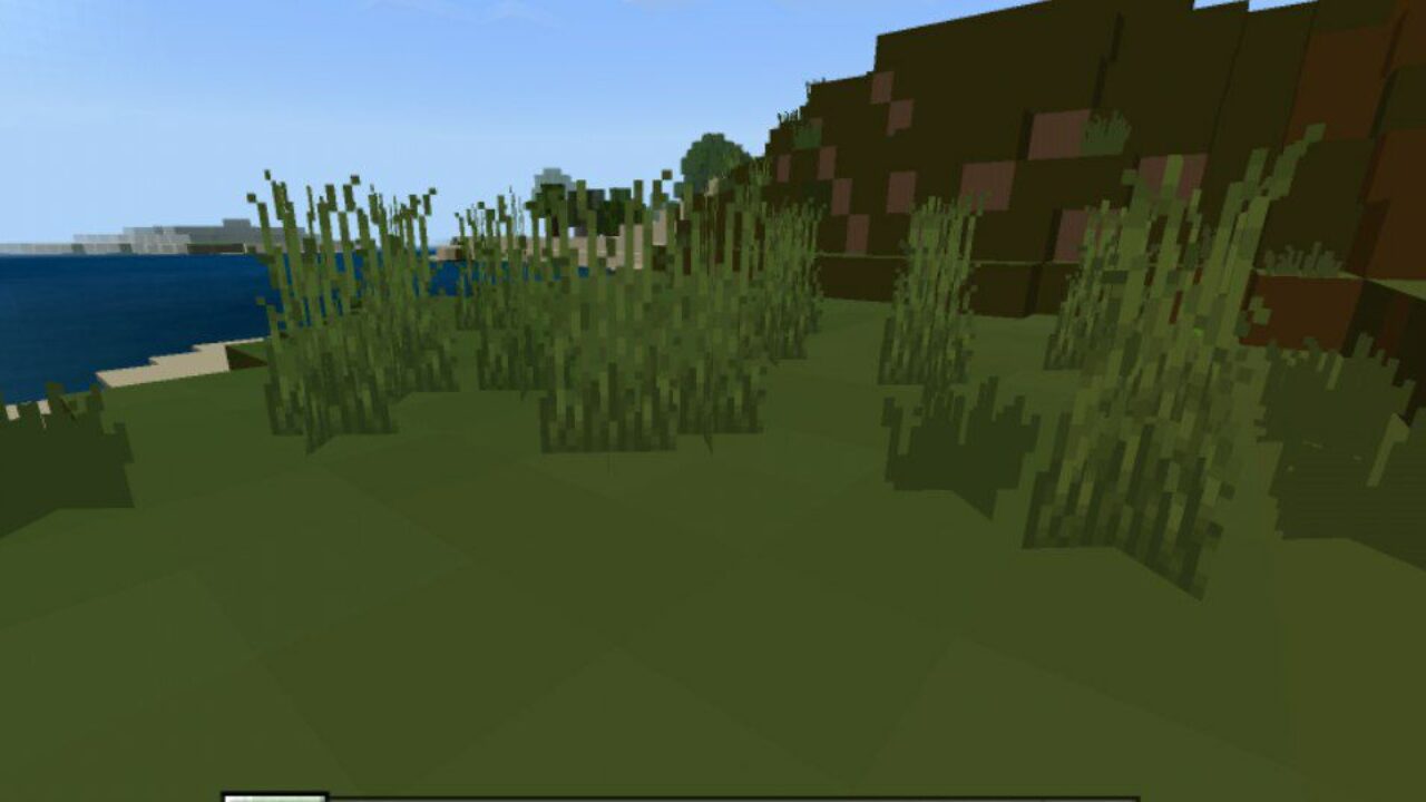 Grass from 1 x 1 Texture Pack for Minecraft PE