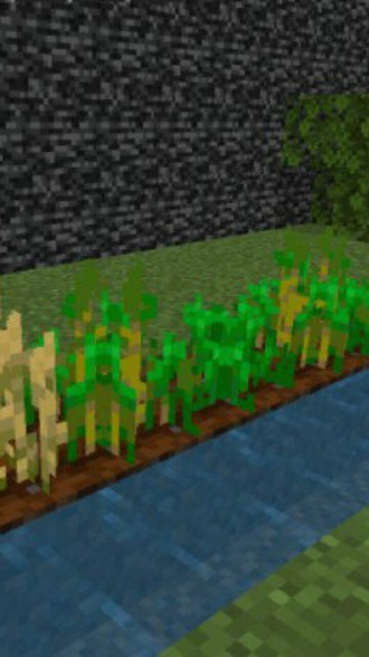 Greens from 2 x 2 Blocks Map for Minecraft PE