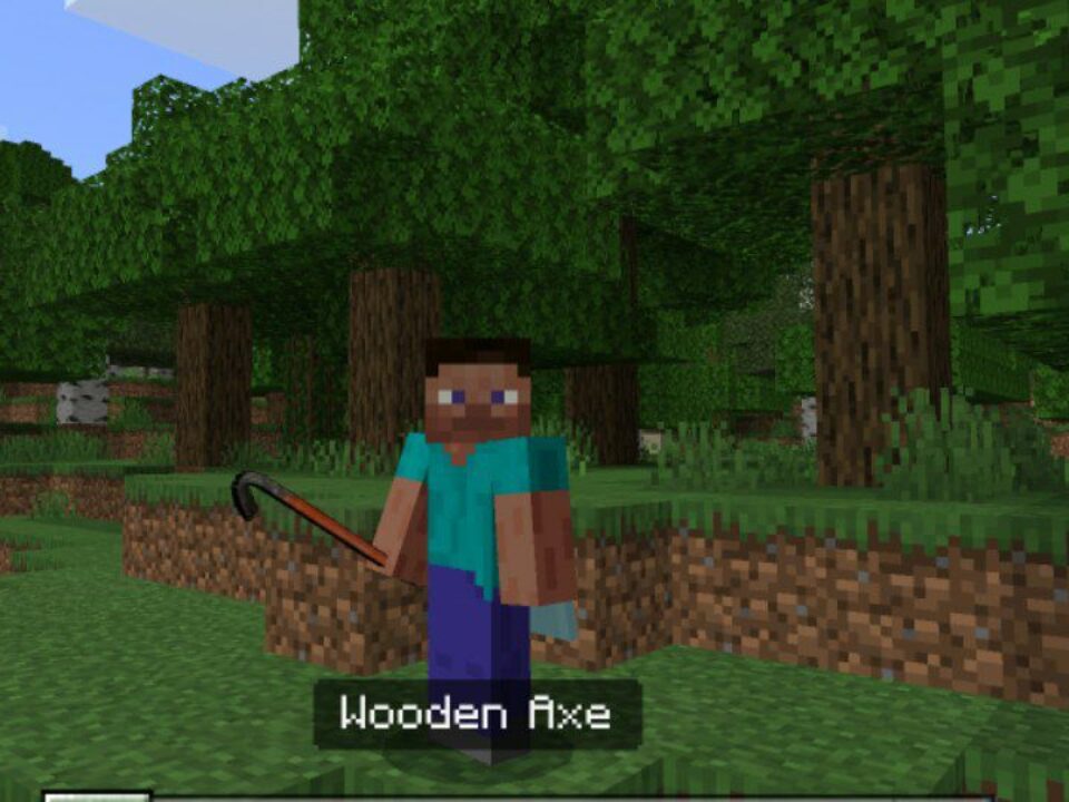 Homeless Man Texture Pack for Minecraft PE