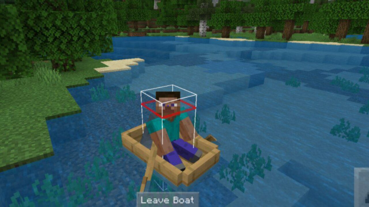 In Boat from Player Hitbox Texture Pack for Minecraft PE