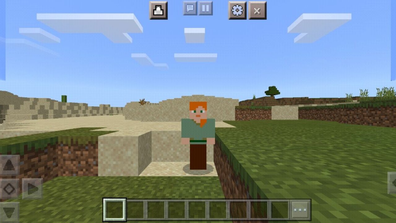 Info from Settings Overlay Texture Pack for Minecraft PE