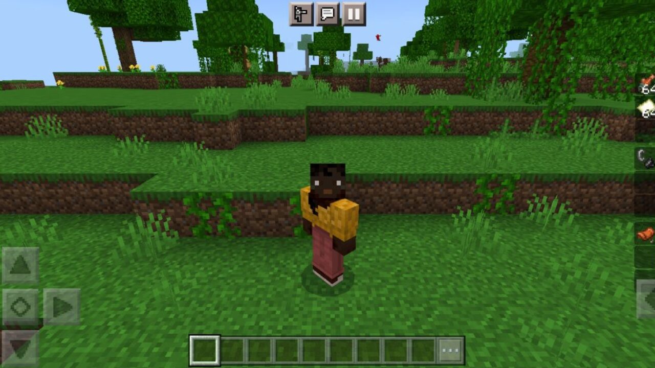 Items on the Right Mod for Minecraft PE