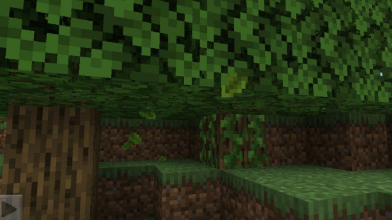 Leaves from Realistic Fall Mod for Minecraft PE