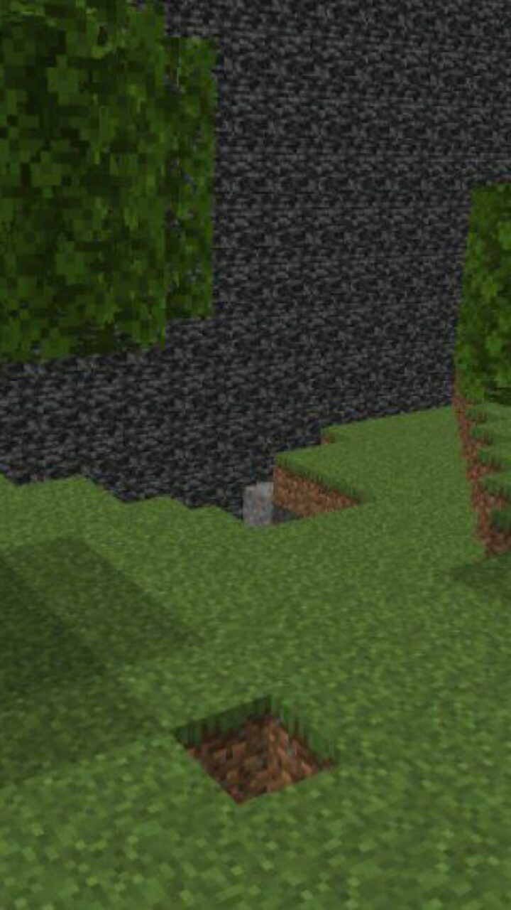 Nature from 2 x 2 Blocks Map for Minecraft PE