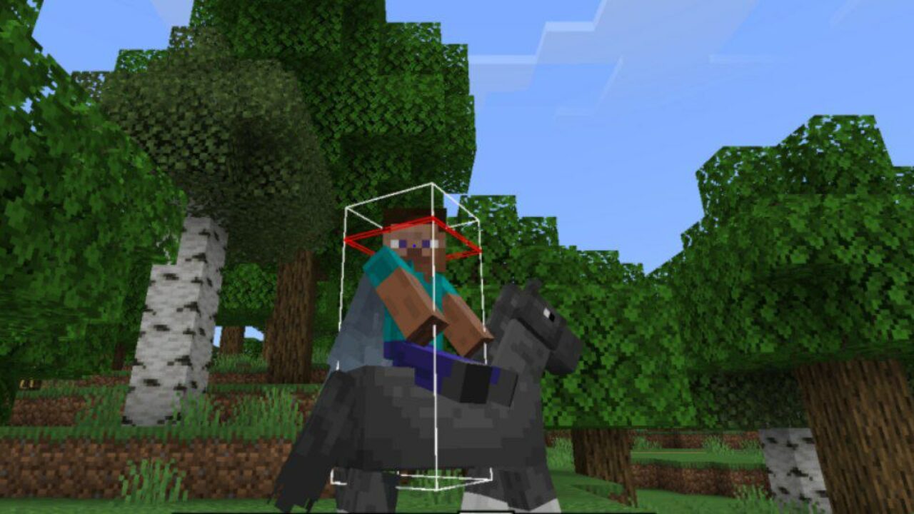 On Horse from Player Hitbox Texture Pack for Minecraft PE