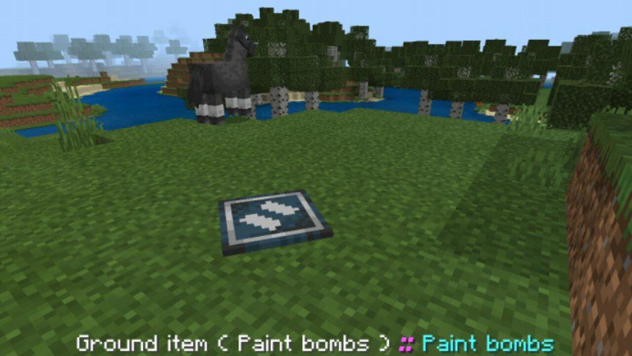 Paint Bomb from Drawing Items Mod for Minecraft PE