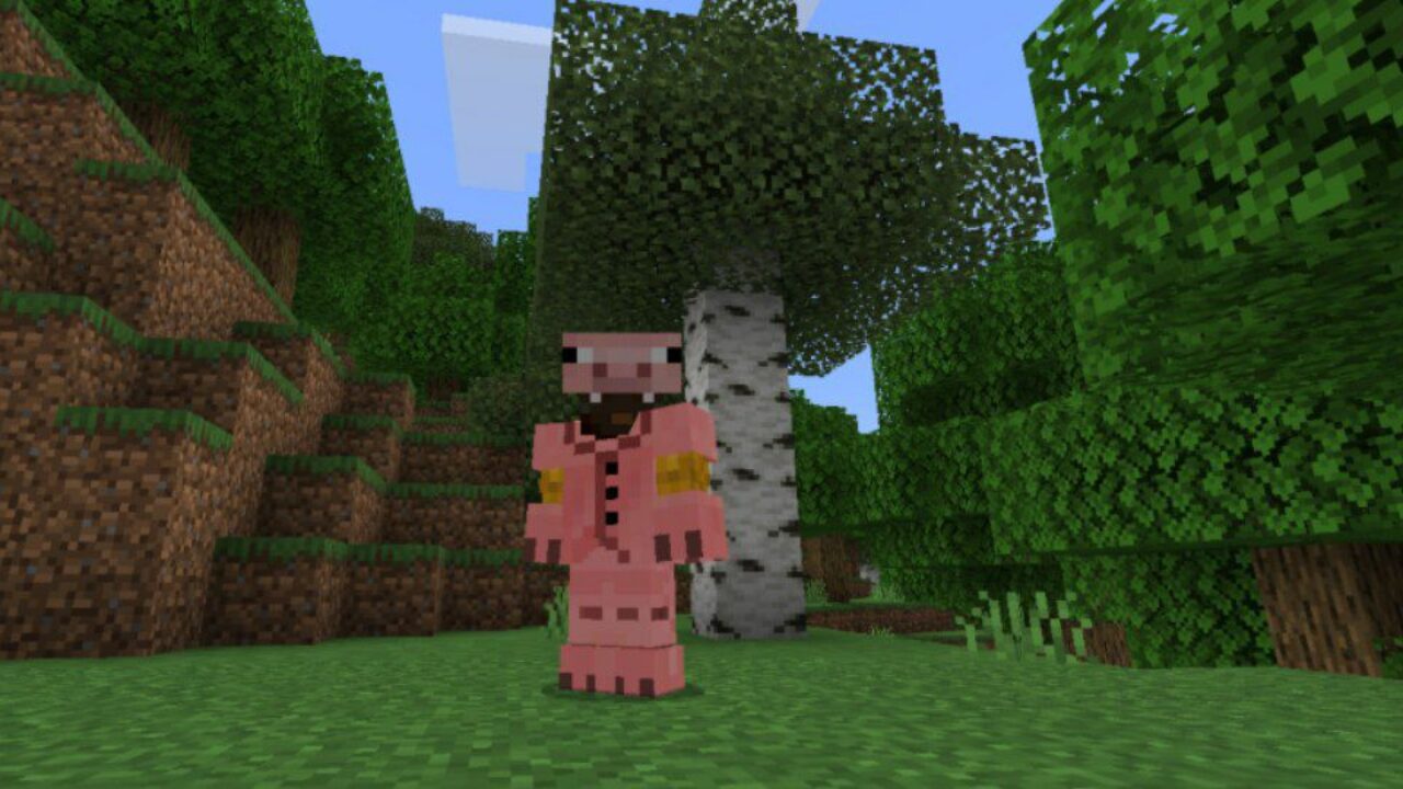Pig from Dharkcraft Clothes Mod for Minecraft PE