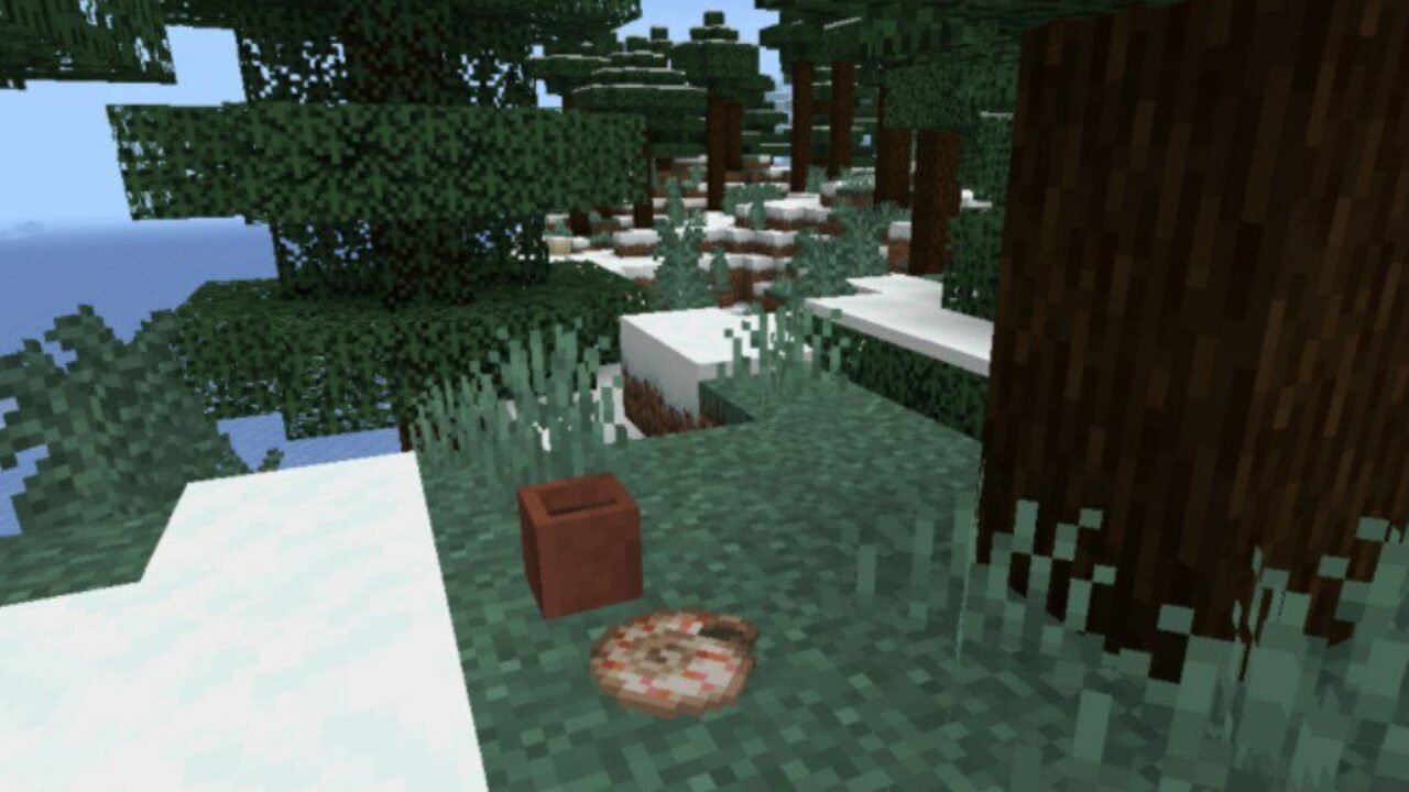 Shell from Objects on the Ground Mod for Minecraft PE