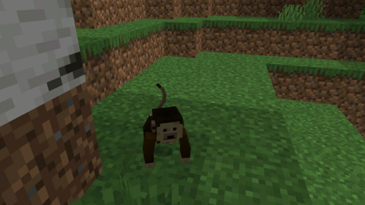 Small from Banana Monkeys Mod for Minecraft PE