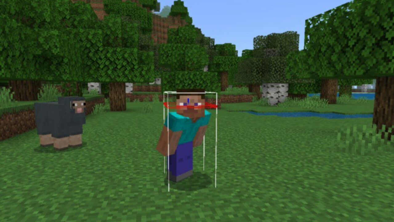 Sneaking from Player Hitbox Texture Pack for Minecraft PE