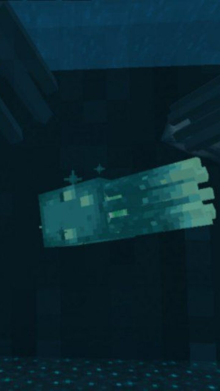 Squid from SeaLand Aquarium Map for Minecraft PE