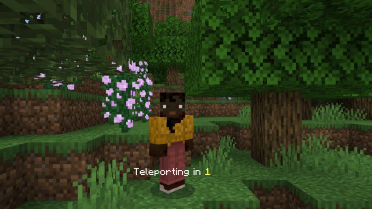 Teleporting from Water Bucket Challenge Mod for Minecraft PE