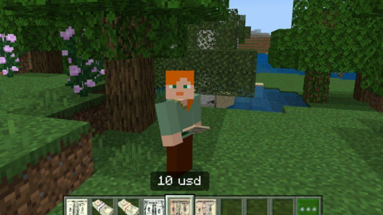 Ten from Dollars Mod for Minecraft PE