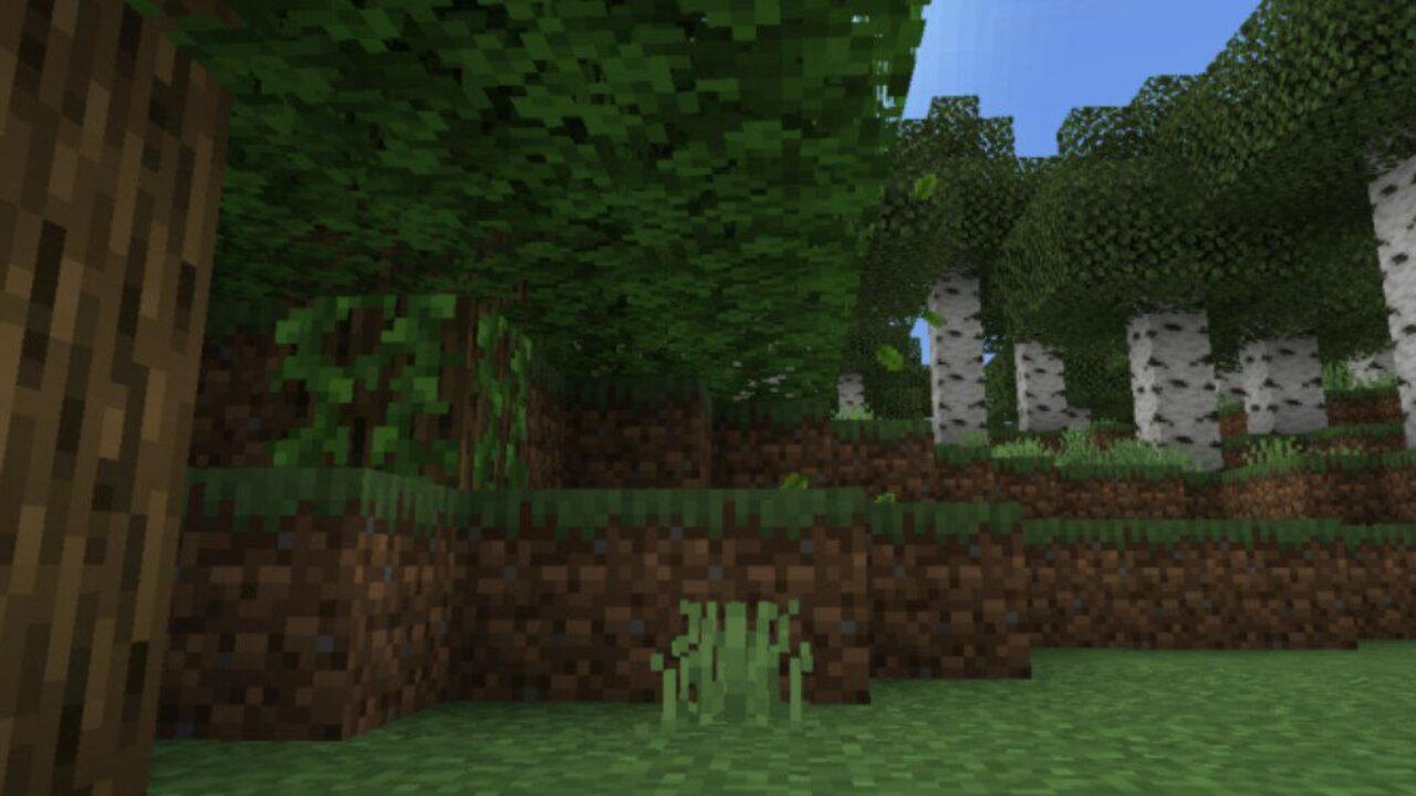 Trees from Realistic Fall Mod for Minecraft PE